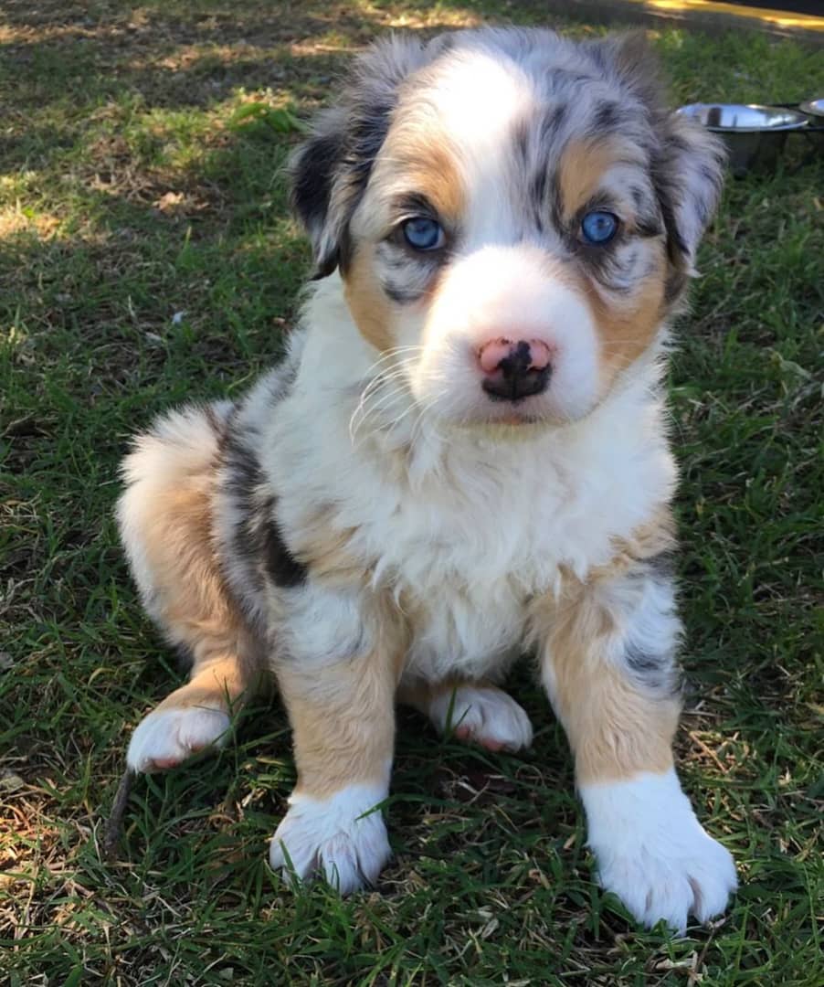 Molly
